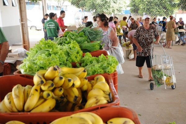 feira jabuticabeira1.jpg